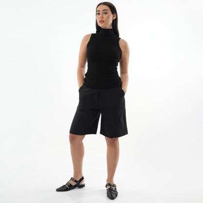 Turtle Neck Sleeveless Knit Sweater